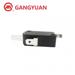 micro switch