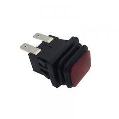 Rocker switch